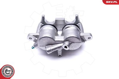 Brake Caliper 46SKV633