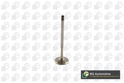 BGA V090108 Клапан выпускной  для BMW 3 купе (E92) 316 i