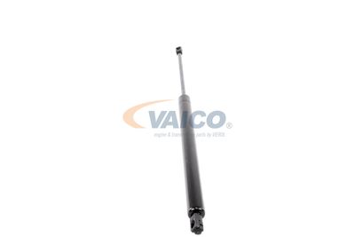 GASFEDER KOFFER-/LADERAUM VAICO V221072 49