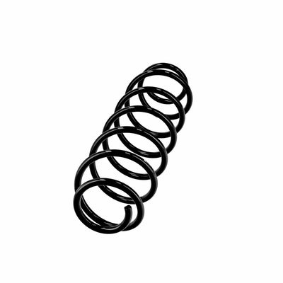 ARC SPIRAL EIBACH R10496 14