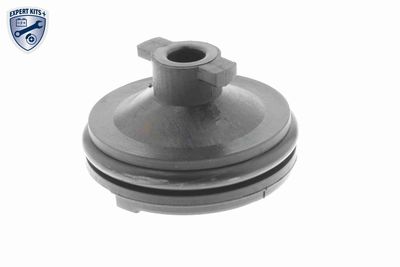 VERSCHLUSSSCHRAUBE ÖLWANNE VAICO V251116 2