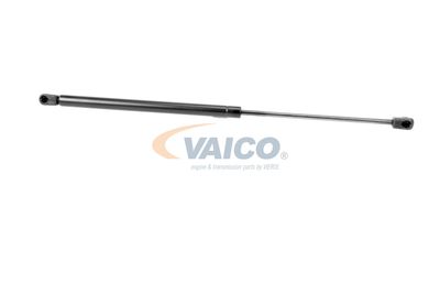 GASFEDER KOFFER-/LADERAUM VAICO V250228 14