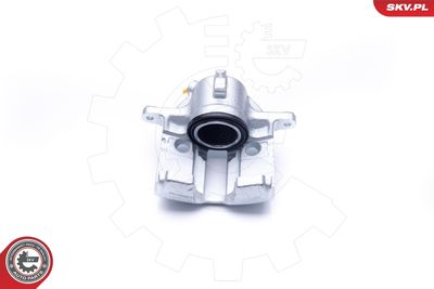 Brake Caliper 42SKV761