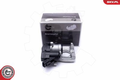 Brake Caliper 55SKV754