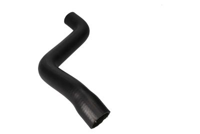 FURTUN RADIATOR BIRTH 56258 10