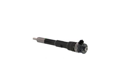 INJECTOR REMANTE 002003001494R 21