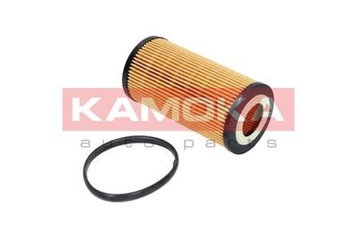 Oil Filter F110501