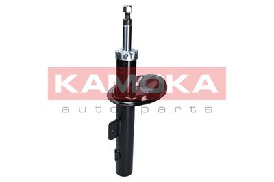 Shock Absorber 2001060