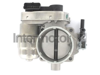 Throttle Body Intermotor 68356