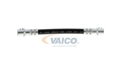 FURTUN FRANA VAICO V104114 49