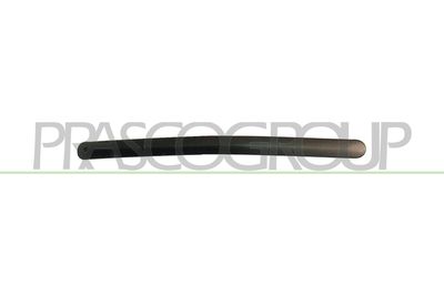 BLENDE STOßFäNGER PRASCO HD0341203