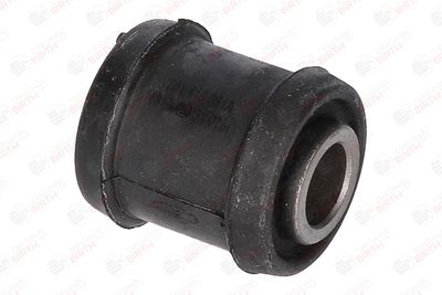 BUCSA ARBORE DE DIRECTIE BIRTH 4817 2