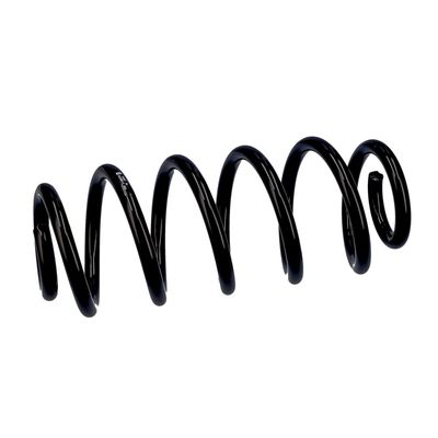 ARC SPIRAL EIBACH R10611 6