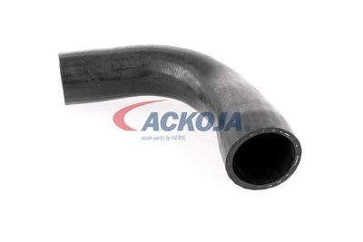 FURTUN EAR SUPRAALIMENTARE ACKOJA A389600 17