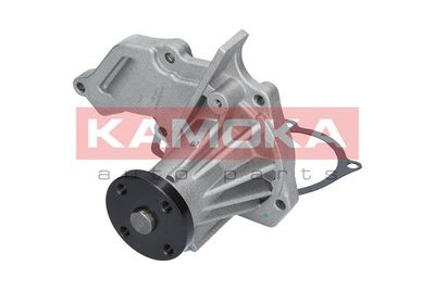 Water Pump, engine cooling T0134