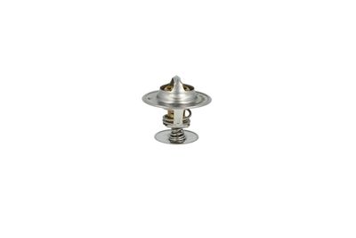 TERMOSTAT LICHID RACIRE NRF 725253 14