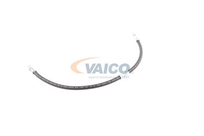 FURTUN FRANA VAICO V103077 32