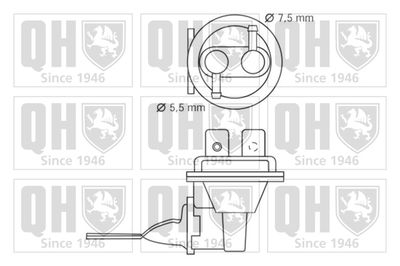 POMPA COMBUSTIBIL QUINTON HAZELL QFP267 1