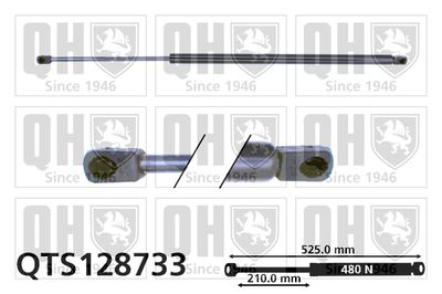 газов амортисьор, капак на двигателя QUINTON HAZELL QTS128733