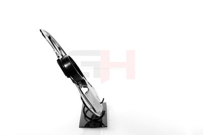 PROTECTIE STROPIRE DISC FRANA GH GH483300H 17