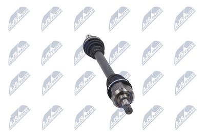 PLANETARA NTY NPWPE077 32