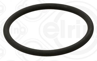 INEL DE ETANșARE AERISIREA CARTERULUI