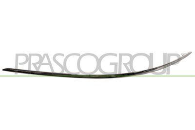 PRASCO Sier- / beschermingspaneel, bumper (ME0291244)