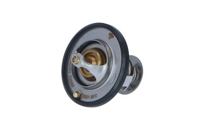 TERMOSTAT LICHID RACIRE NRF 725087 12