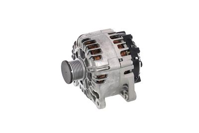 GENERATOR / ALTERNATOR REMANTE 011003000865R 11