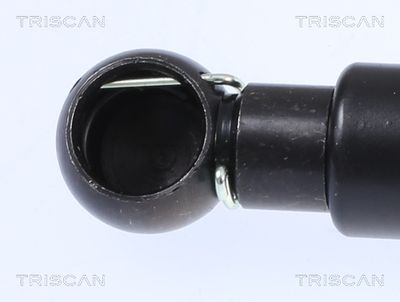 Amortizor portbagaj TRISCAN 8710 23240