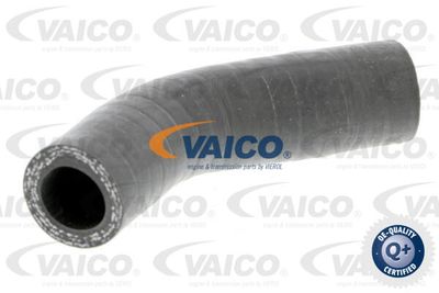 Трубка нагнетаемого воздуха VAICO V24-0631 для FIAT BRAVA