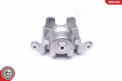 Brake Caliper 46SKV881