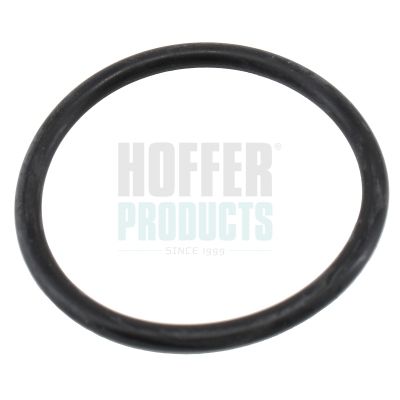 уплътнение, термостат HOFFER 01657