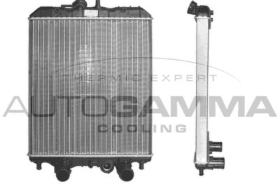 Радиатор, охлаждение двигателя AUTOGAMMA 102959 для PIAGGIO PORTER