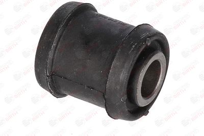 BUCSA ARBORE DE DIRECTIE BIRTH 4817 8