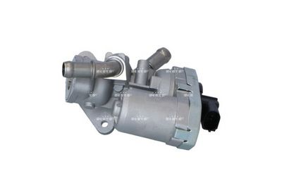 EGR Valve 48376