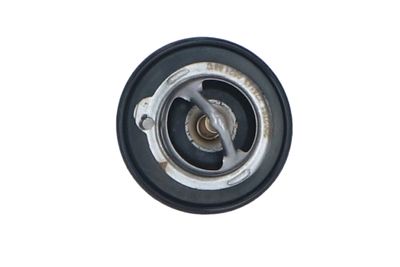 TERMOSTAT LICHID RACIRE NRF 725143 46
