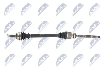 PLANETARA NTY NPWPE101 25