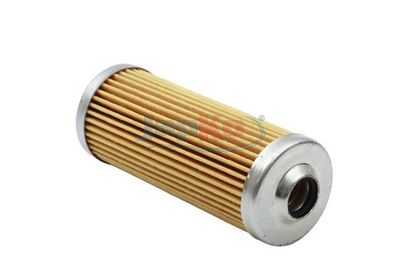 FILTRU COMBUSTIBIL