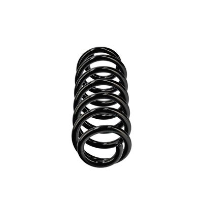 ARC SPIRAL EIBACH R13607 1