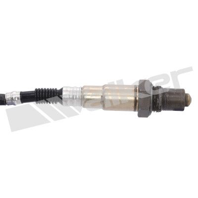 LAMBDASONDE WALKER PRODUCTS 25024428 1