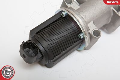 EGR Valve 14SKV076