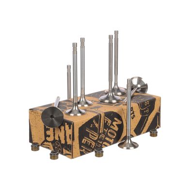 SET SUPAPE SUPAPă ADMISIE/EVACUARE ET ENGINETEAM VS0034 15