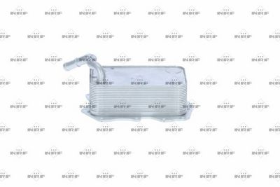 RADIATOR ULEI ULEI MOTOR