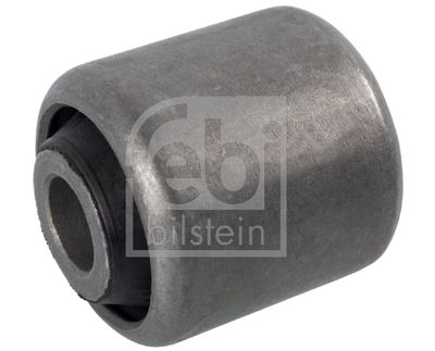 Mounting, control/trailing arm 34176