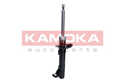 Shock Absorber 2000254