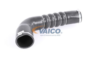 FURTUN EAR SUPRAALIMENTARE VAICO V103794 57