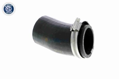 FURTUN EAR SUPRAALIMENTARE VAICO V103803 6