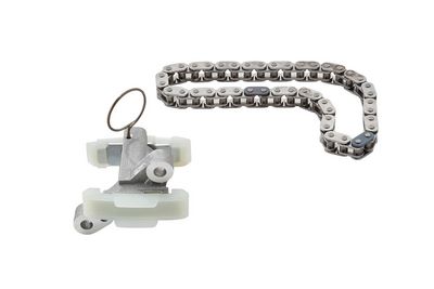 Sada rozvodového řetězu BORGWARNER 59007150011