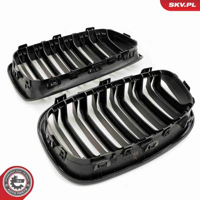 GRILA RADIATOR ESEN SKV 66SKV018 4